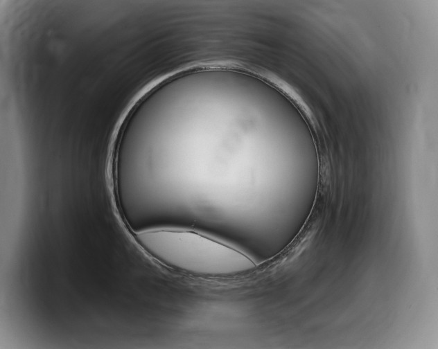 X0000099450959200805090725