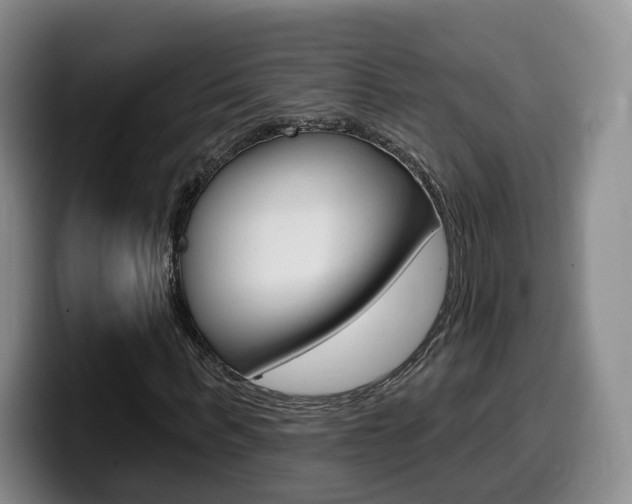 X0000099450963200805090724