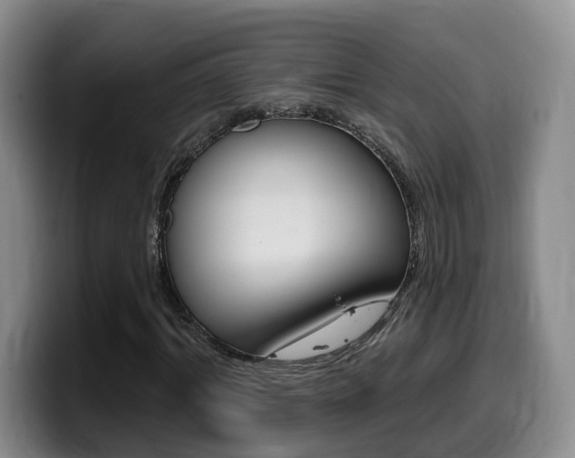 X0000099450964200805090724