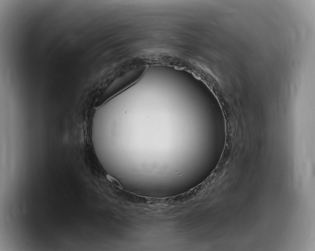 X0000099450965200805090724