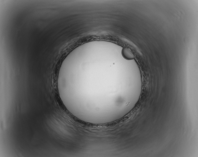 X0000099450966200805090724