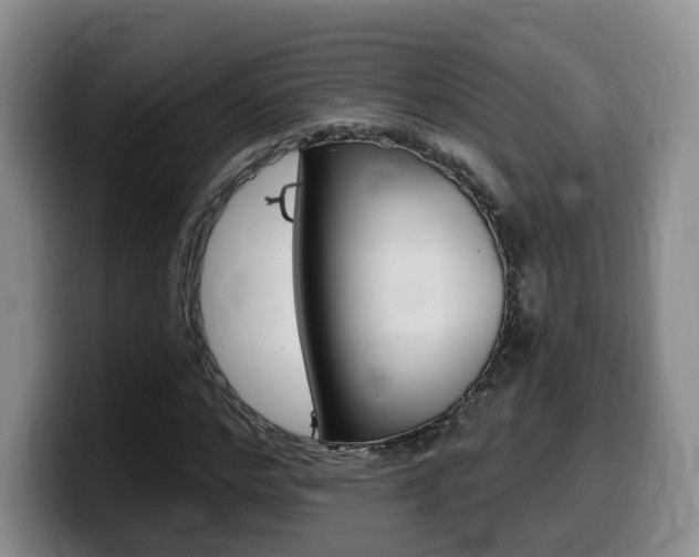 X0000099450968200805090724