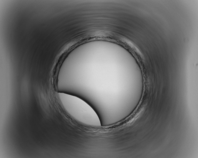 X0000099450970200805090724