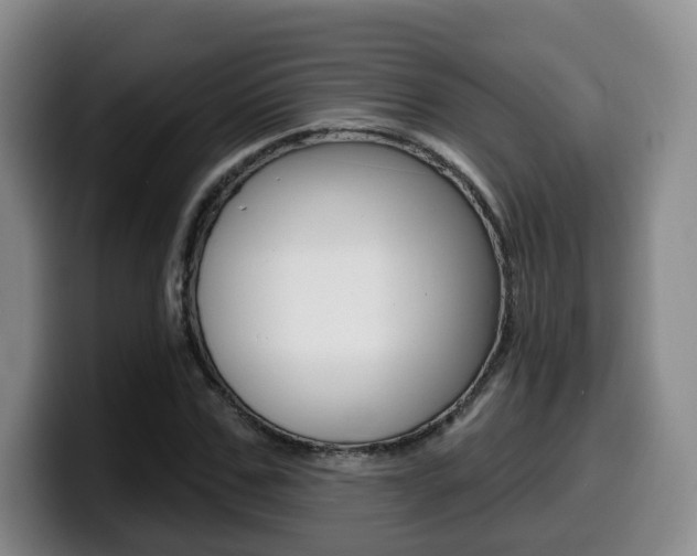 X0000099450971200805090724