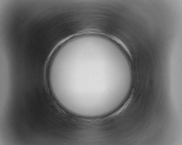 X0000099450973200805090724