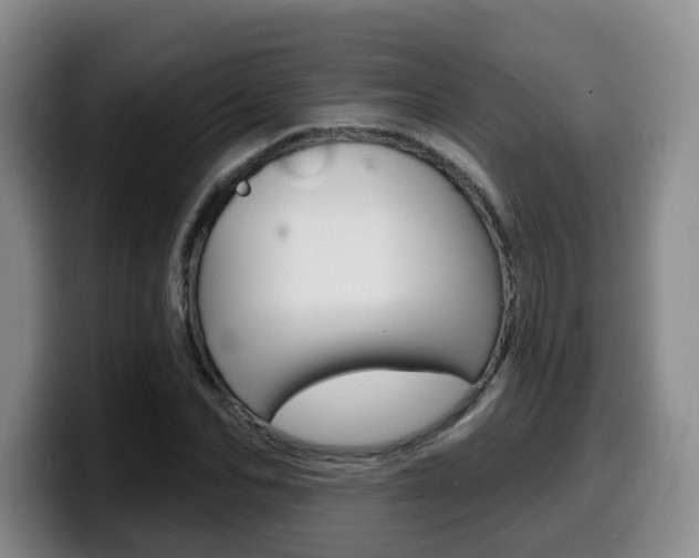 X0000099450974200805090724