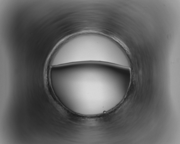 X0000099450976200805090724