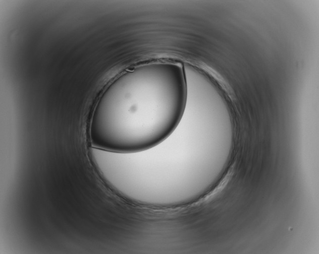 X0000099450977200805090724