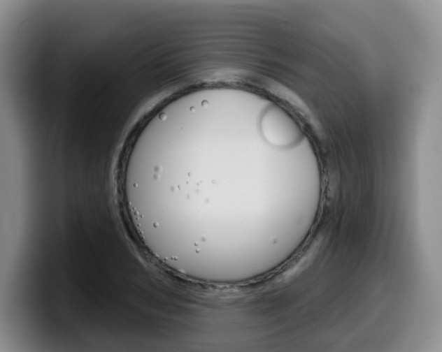 X0000099450978200805090724