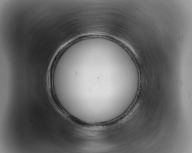 X0000099450982200805090724