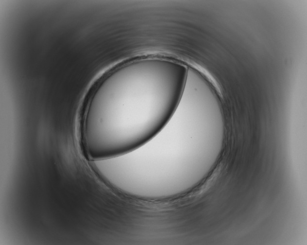 X0000099450983200805090724
