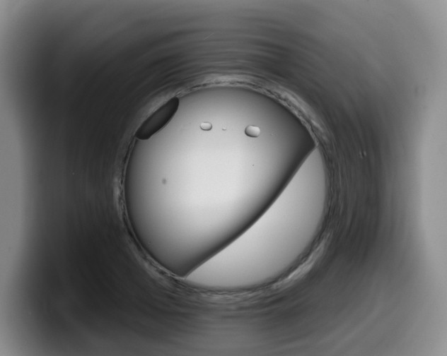 X0000099450985200805090724