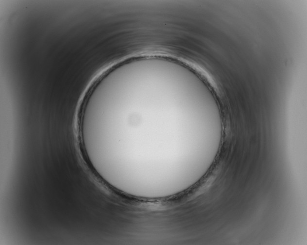 X0000099450990200805090724