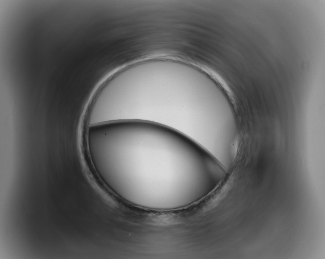 X0000099450991200805090724