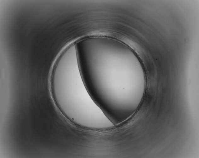 X0000099450992200805090724