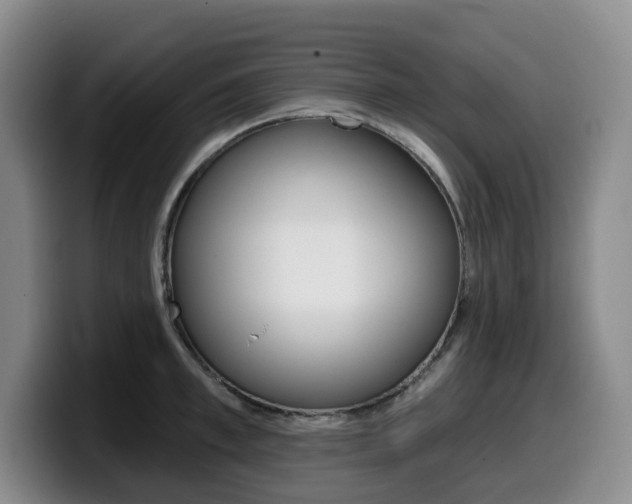 X0000099450997200805090724