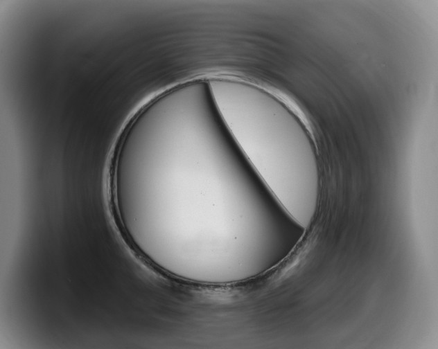 X0000099450999200805090724
