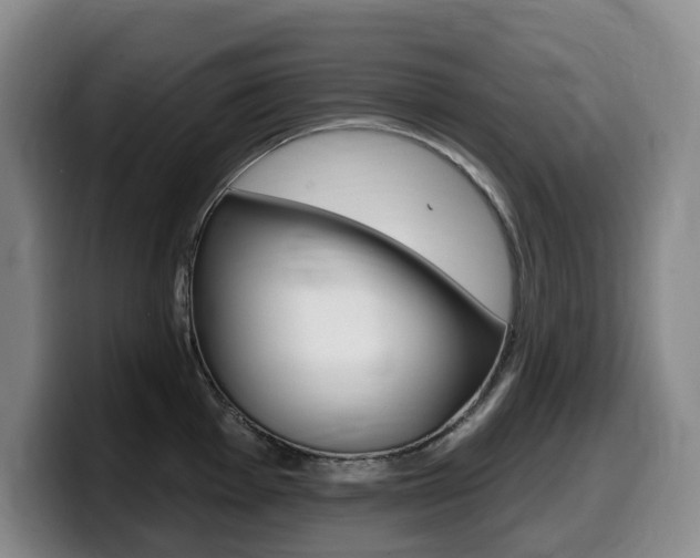 X0000099451001200805090724