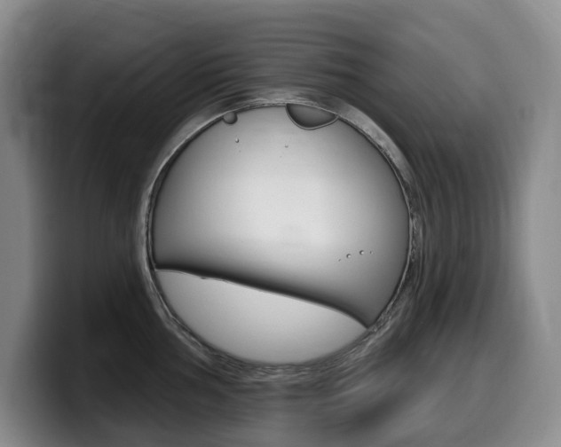 X0000099451002200805090724