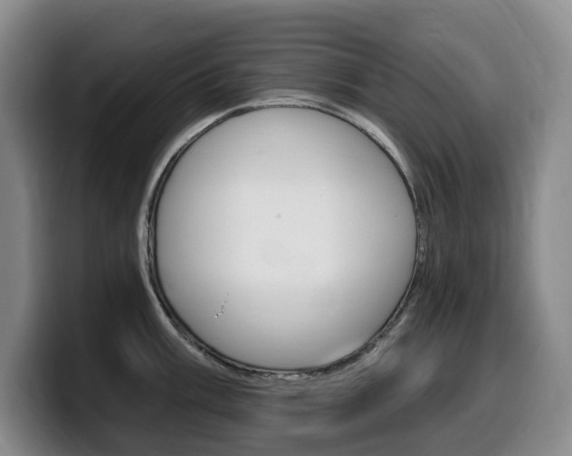 X0000099451003200805090724