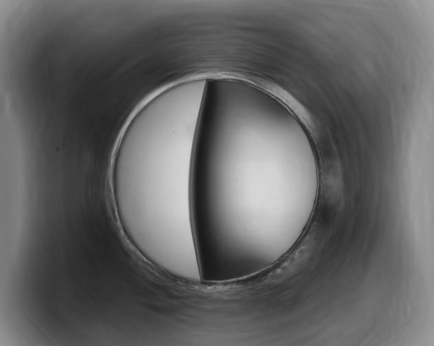 X0000099451004200805090724