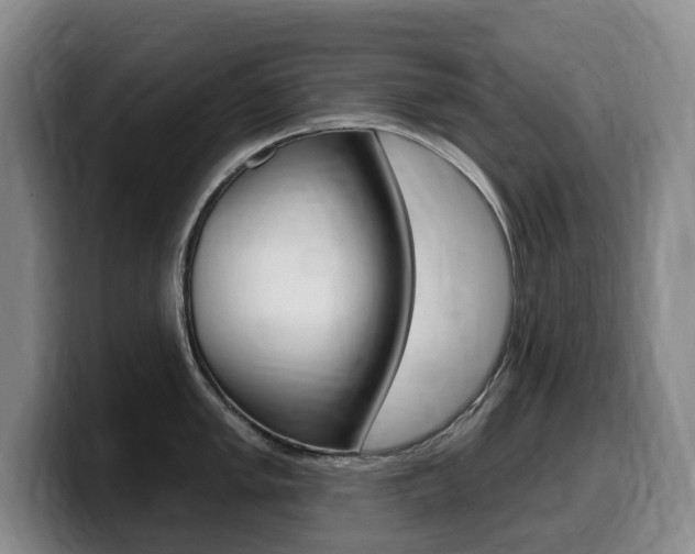 X0000099451005200805090724