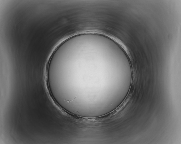 X0000099451006200805090724