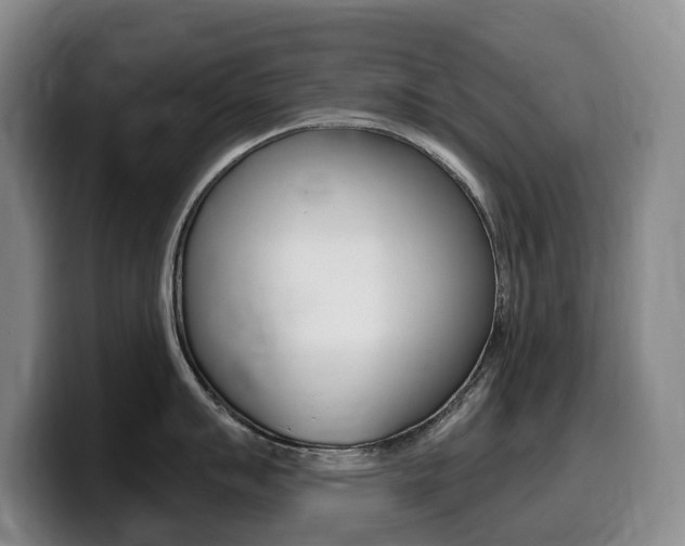 X0000099451007200805090724