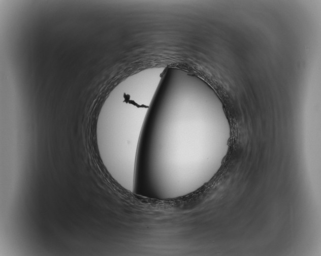 X0000099451009200805090723