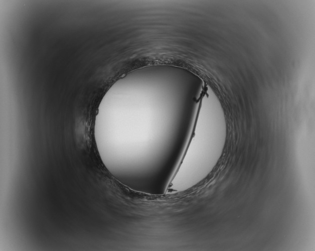 X0000099451010200805090723