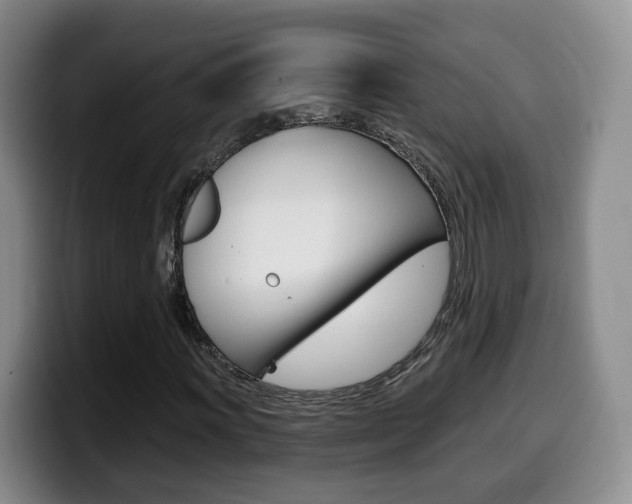 X0000099451011200805090723
