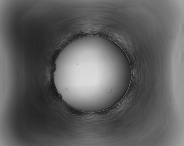 X0000099451012200805090723