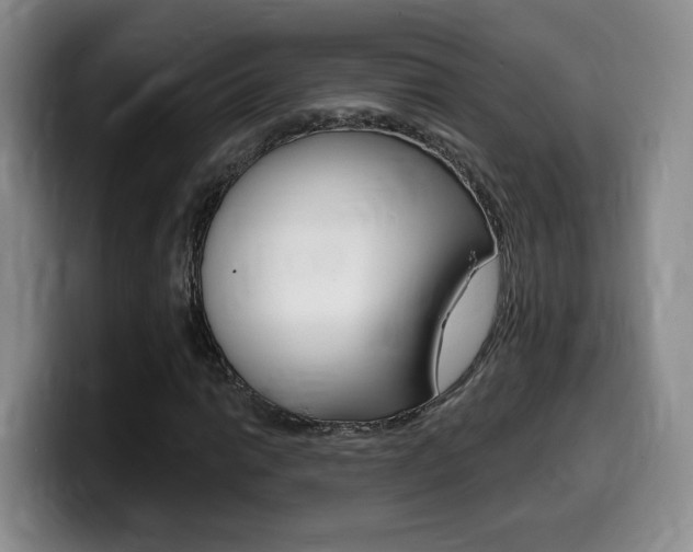 X0000099451014200805090723