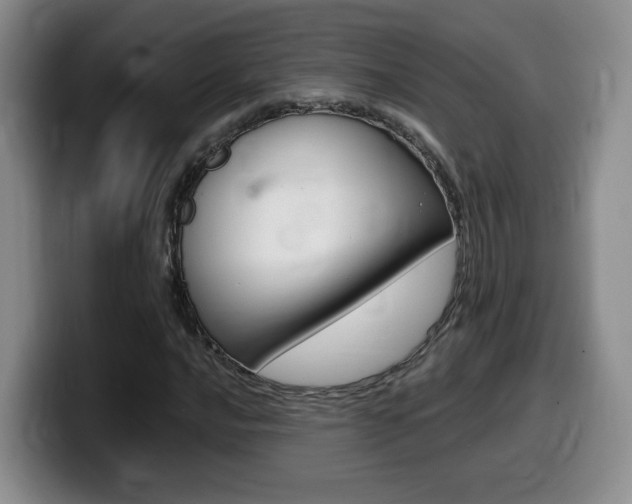 X0000099451016200805090723