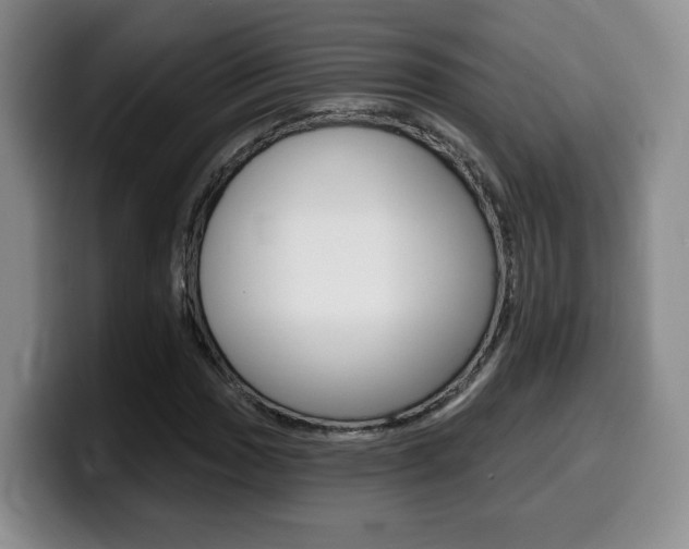 X0000099451017200805090723