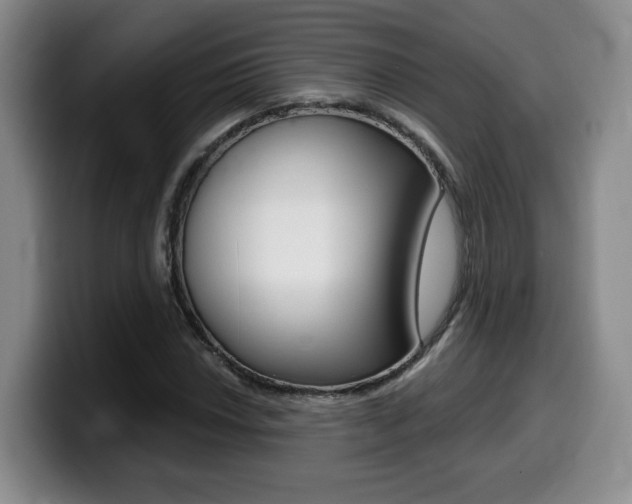 X0000099451018200805090723