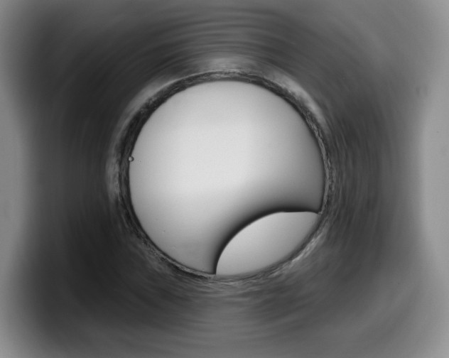 X0000099451019200805090723