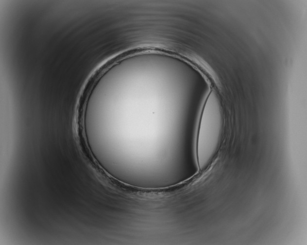 X0000099451020200805090723