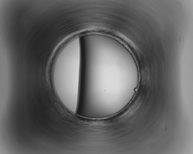 X0000099451021200805090723
