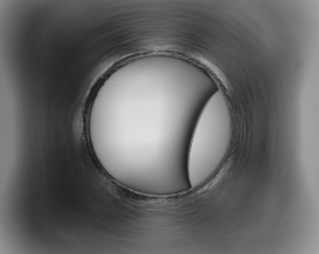 X0000099451023200805090723