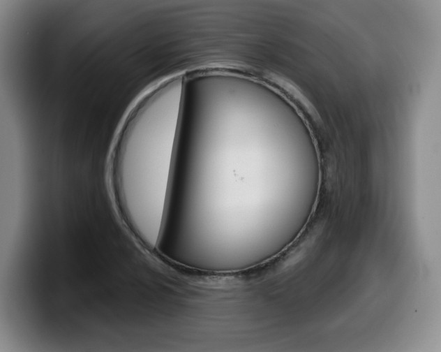 X0000099451024200805090723