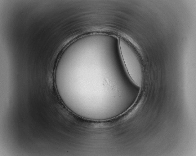 X0000099451025200805090723