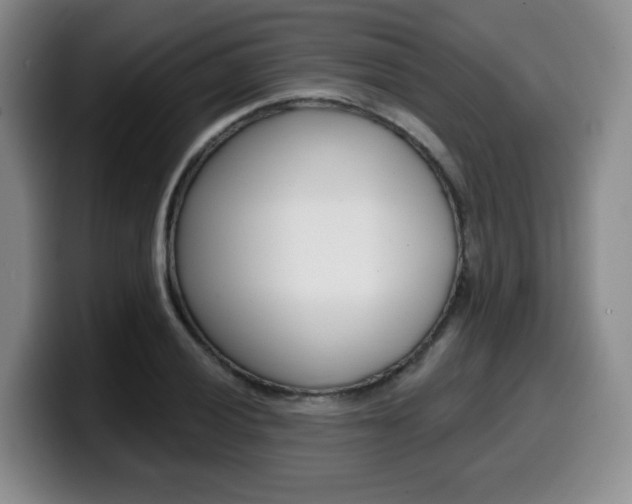X0000099451028200805090723