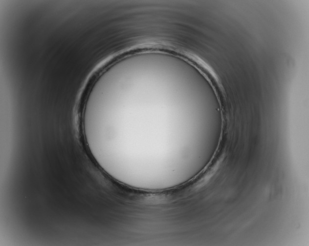 X0000099451029200805090723