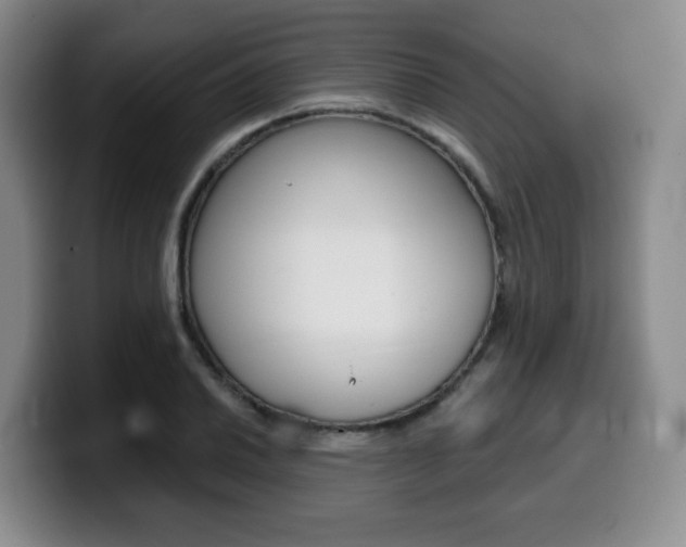 X0000099451030200805090723