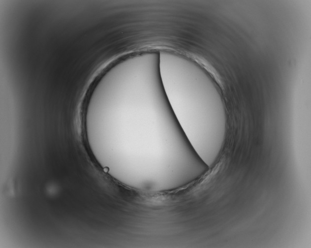 X0000099451031200805090723