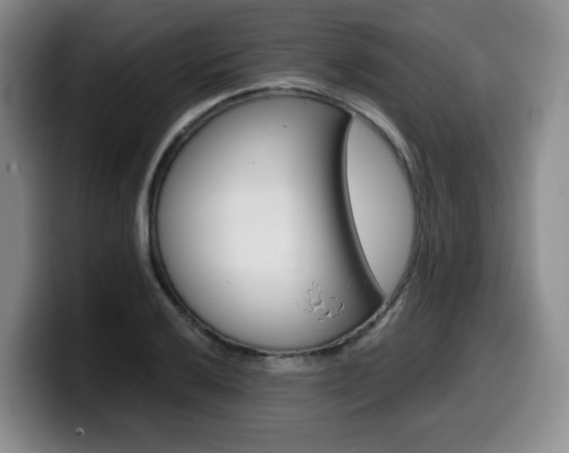 X0000099451032200805090723