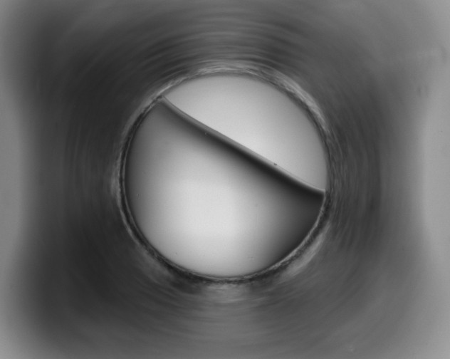 X0000099451033200805090723