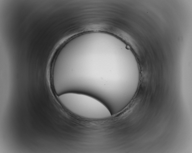 X0000099451035200805090723