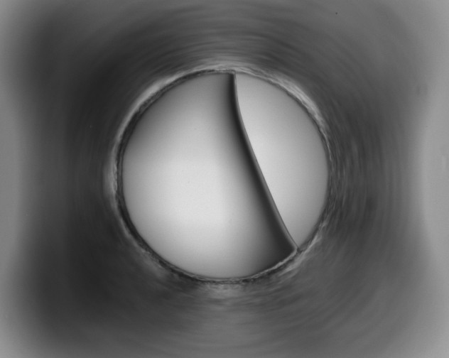 X0000099451040200805090723